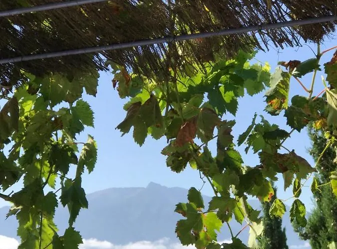 Maisonnette El Puy Appartement Moltig les Bains